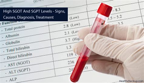 What Do High Levels Of SGOT/SGPT In A Liver Test .